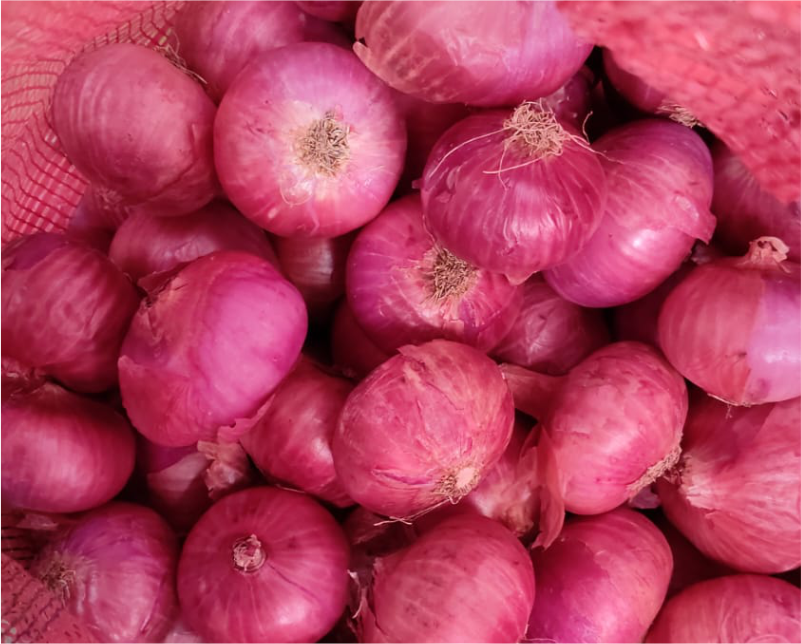 Fresh Onion Supplier